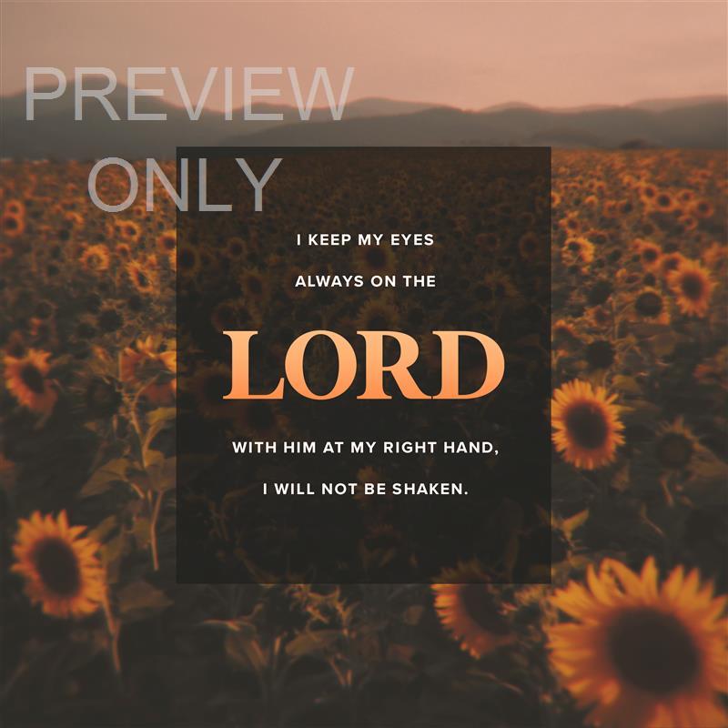 VINTAGE SUNFLOWER PSALM 16:8
