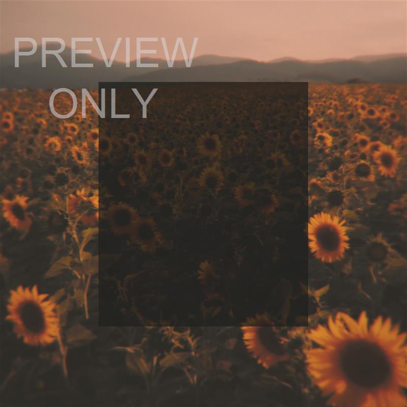 VINTAGE SUNFLOWER PSALM 16:8 BLANK