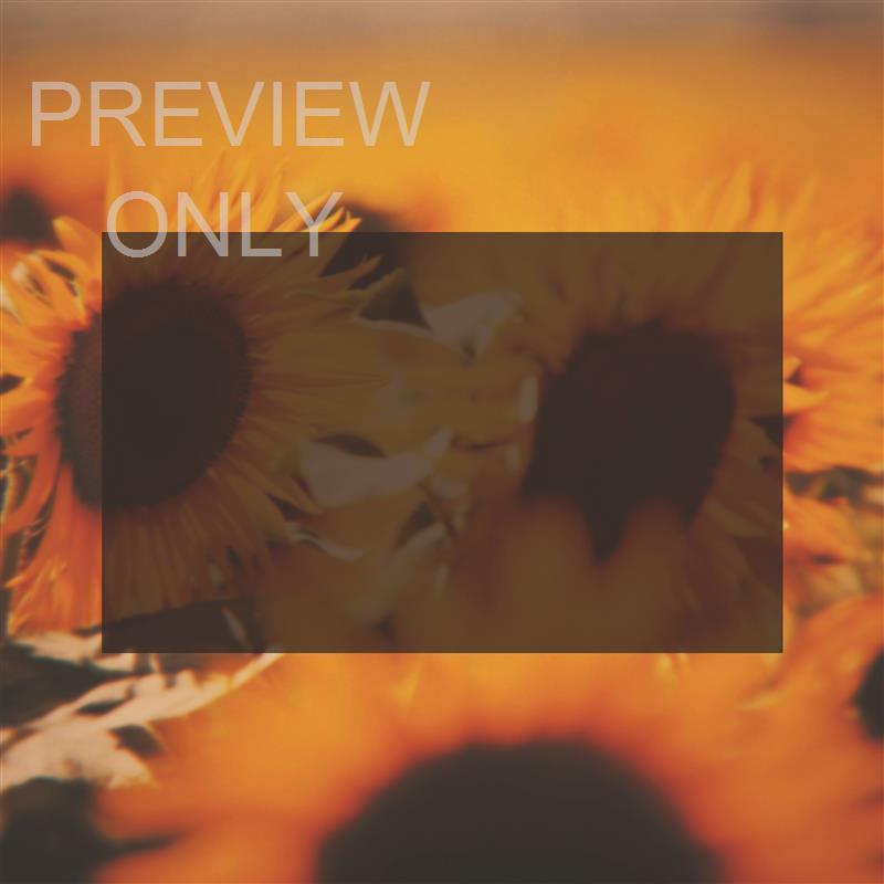 VINTAGE SUNFLOWER PSALM 46:1 BLANK