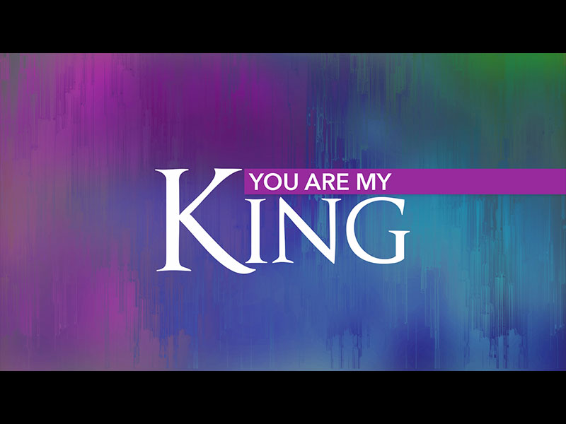 YOU ARE MY KING