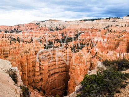 BRYCE CANYON