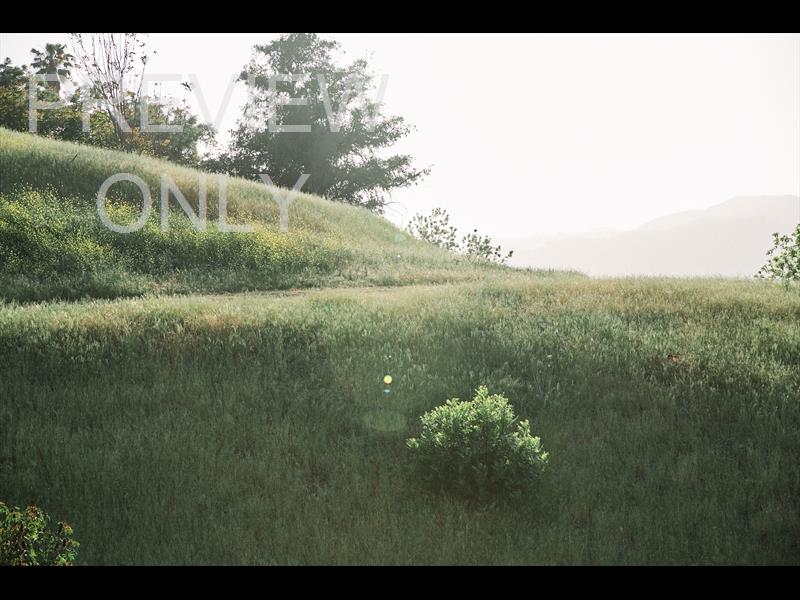 Grassy Hill joshfraner WorshipHouse Media