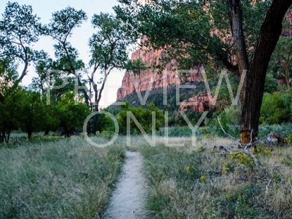 NARROW PATH