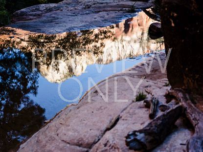 REFLECTIONS