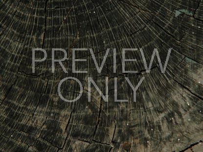 WOOD AND PARTICLE STILL 2