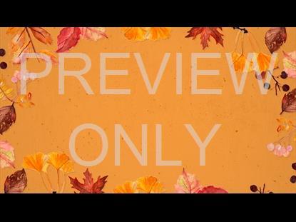 AUTUMN EVENTS VOL ONE: TEACHING STILL 2