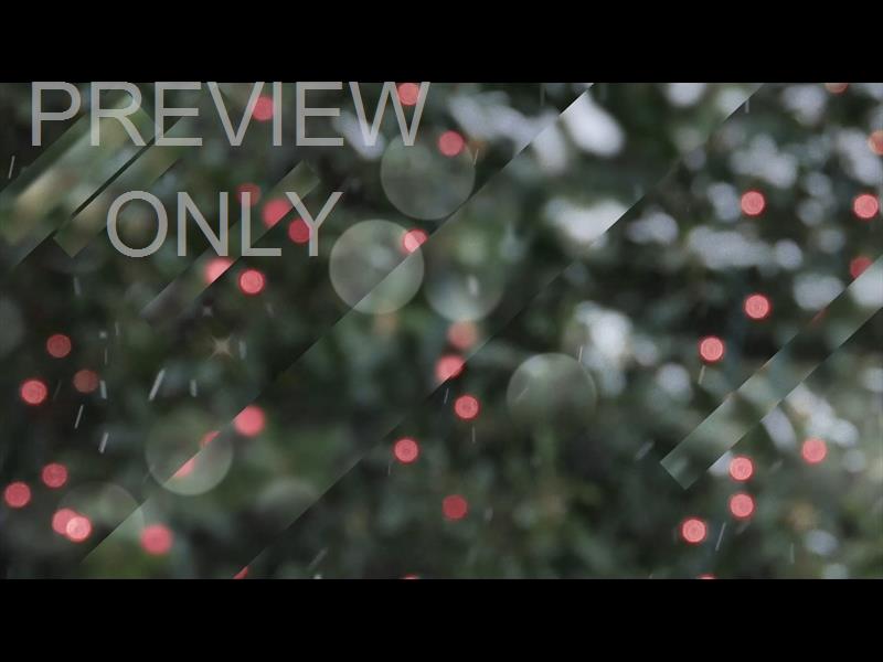 CHRISTMAS MOTIONS VOLUME ONE: TEACHING STILL 03