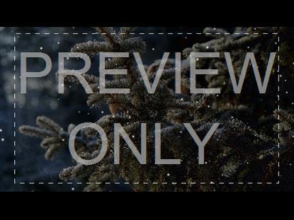 CHRISTMAS VOLUME FIVE TEACHING STILL 3