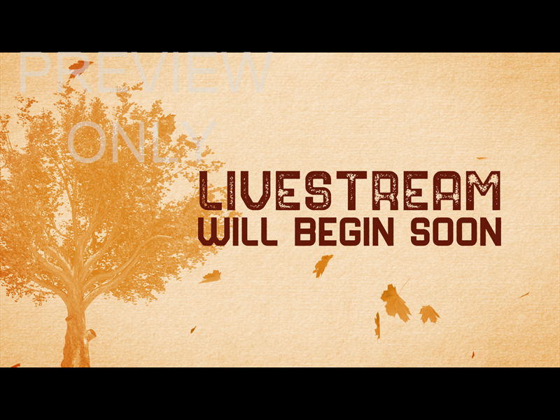 FALL VOLUME ONE: LIVESTREAM STILL