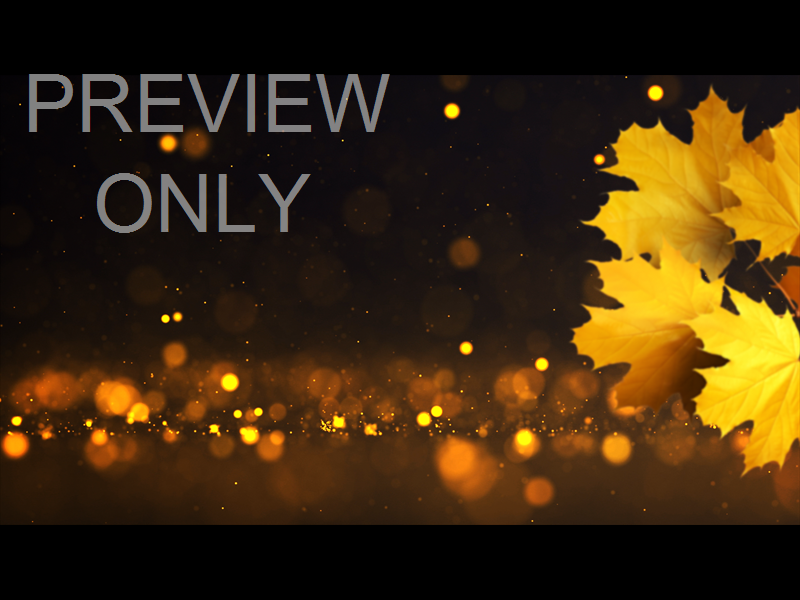 FALL VOLUME ONE: STILL 02