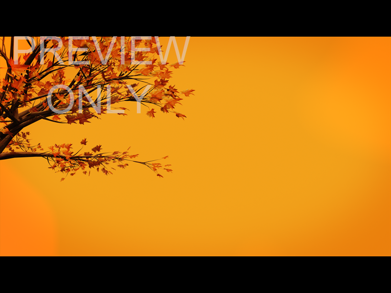 FALL VOLUME ONE: STILL 05