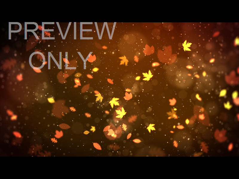 FALL VOLUME ONE: STILL 06