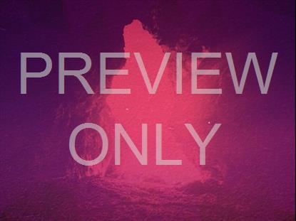 HE IS RISEN TEACHING STILL 1