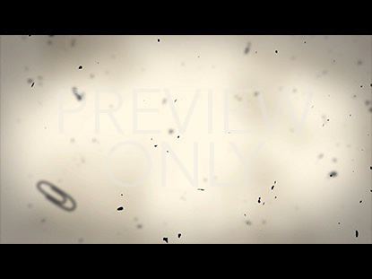 LIVING SACRIFICE BLANK STILL 01