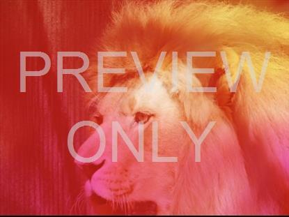 MARK CHRISTS POWER FOR EVERY NEED TEACHING STILL 3