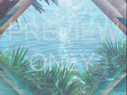 NATURE BEACHES TEACHING STILL 2