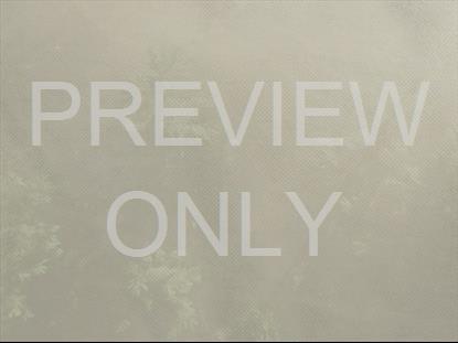 WILDERNESS TEACHING STILL 2