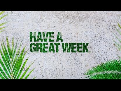 PALM SUNDAY VOL 1. CLOSING STILL