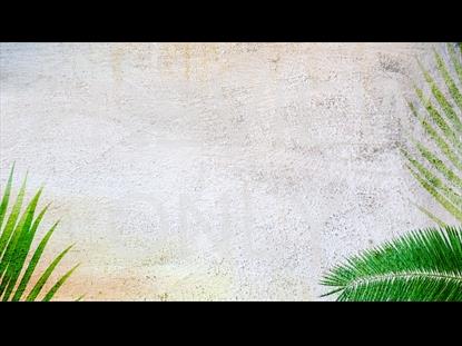 PALM SUNDAY VOL 1. TEACHING STILL