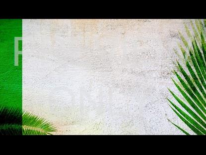 PALM SUNDAY VOL 1. TEACHING STILL 2