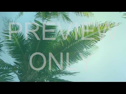 PALM SUNDAY TEACHING STILL 3