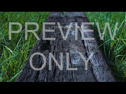 PASSION – IT WASN'T THE NAILS: BLANK STILL 01