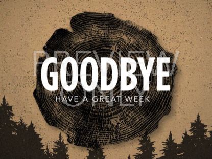 ROOTED CLOSING STILL