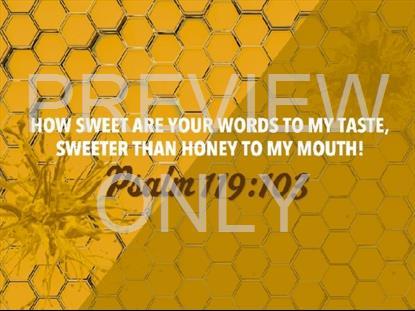 SWEET LIKE HONEY SCRIPTURE STILL