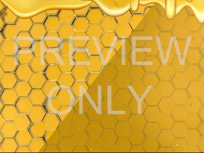 SWEET LIKE HONEY: TEACHING STILL 2