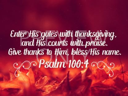 THANKSGIVING 03 SCRIPTURE STILL