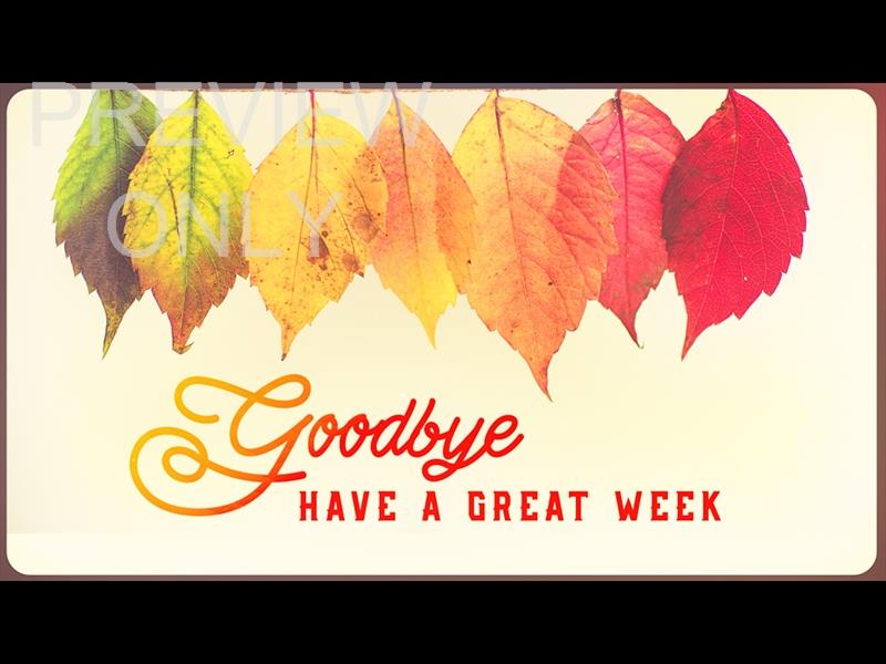 THANKSGIVING VOLUME TWO: CLOSING STILL