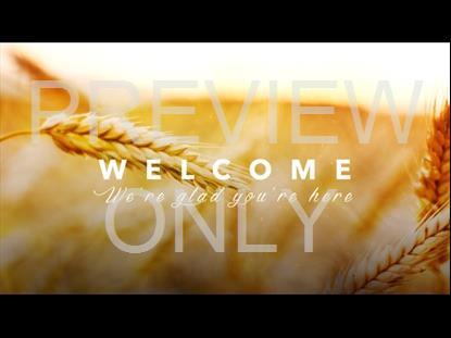 THE PRODIGAL SON WELCOME STILL