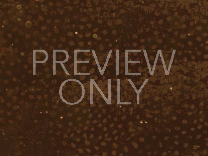 WHAT IT HAS FOR US TODAY TEACHING STILL 01