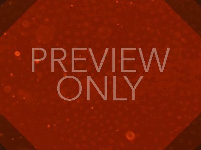 WHAT IT HAS FOR US TODAY TEACHING STILL 03