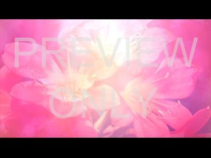 WOMEN'S MINISTRY TEACHING STILL