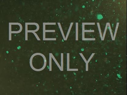 CHRISTMAS GLITTER 06 STILL