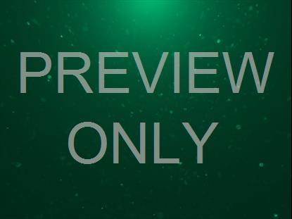 CHRISTMAS GLITTER 08 STILL