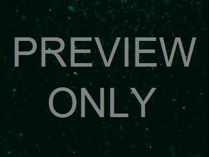 CHRISTMAS GLITTER 12 STILL