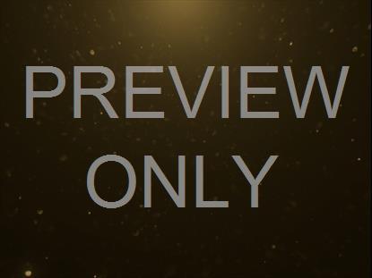 CHRISTMAS GLITTER 13 STILL