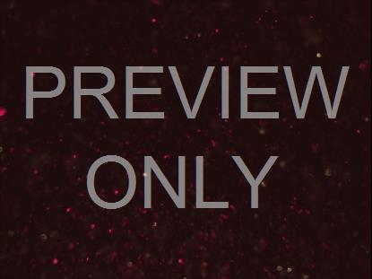 CHRISTMAS GLITTER 14 STILL