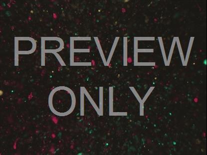 CHRISTMAS GLITTER 15 STILL