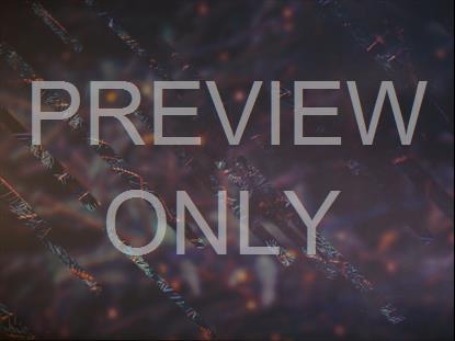 CHRISTMAS JOURNEY 02 STILL