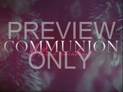 CHRISTMAS JOURNEY COMMUNION STILL