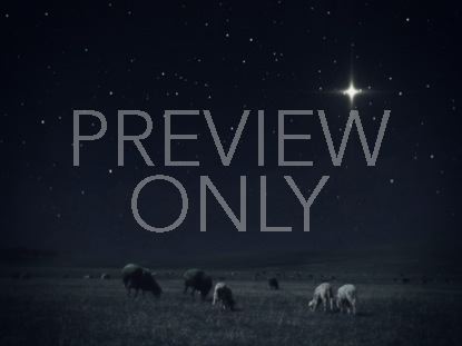 CHRISTMAS NIGHT 02 STILL