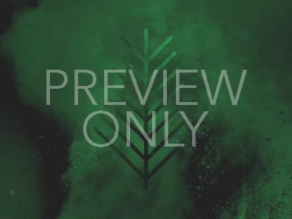 COLOR BURST PALM SUNDAY 01