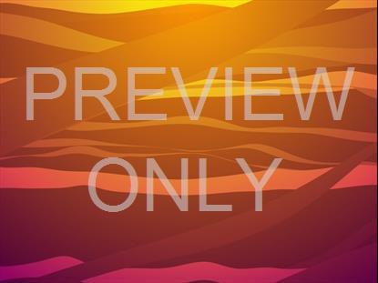 COLORWAVE GRADIENTS 17 STILL