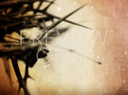 CROWN OF THORNS STILL