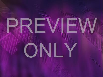 EASTER JOURNEY PALMS 03 STILL