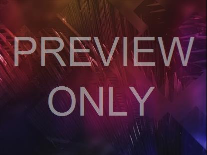 EASTER JOURNEY PALMS 05 STILL