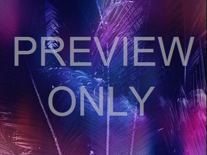 EASTER JOURNEY PALMS 07 STILL